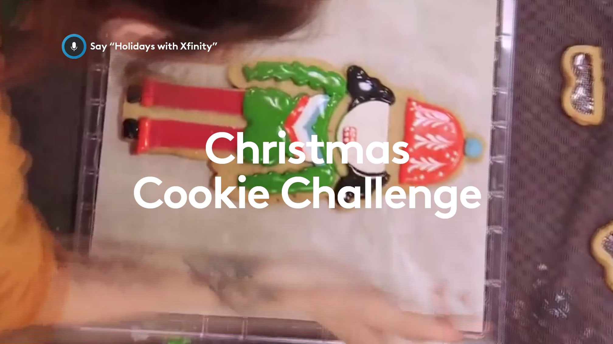 Holiday TV Spot